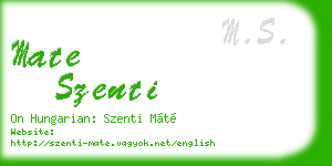 mate szenti business card
